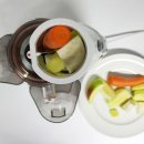 CASO - sjw400 slow juicer